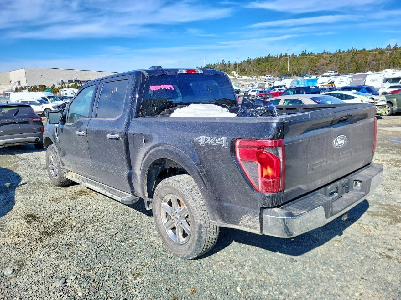 2025 Ford F150 XLT