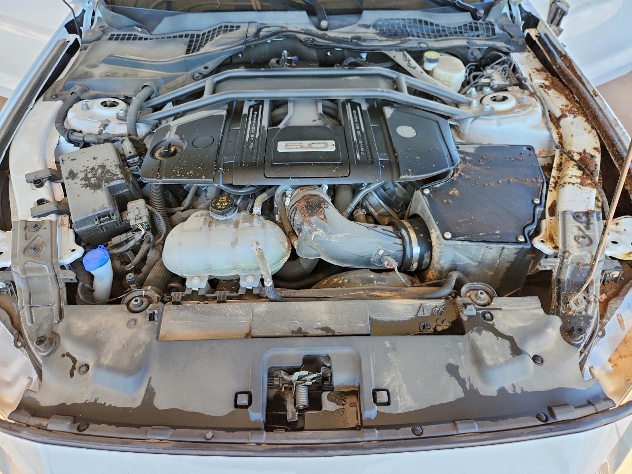 2023 Ford Mustang gt