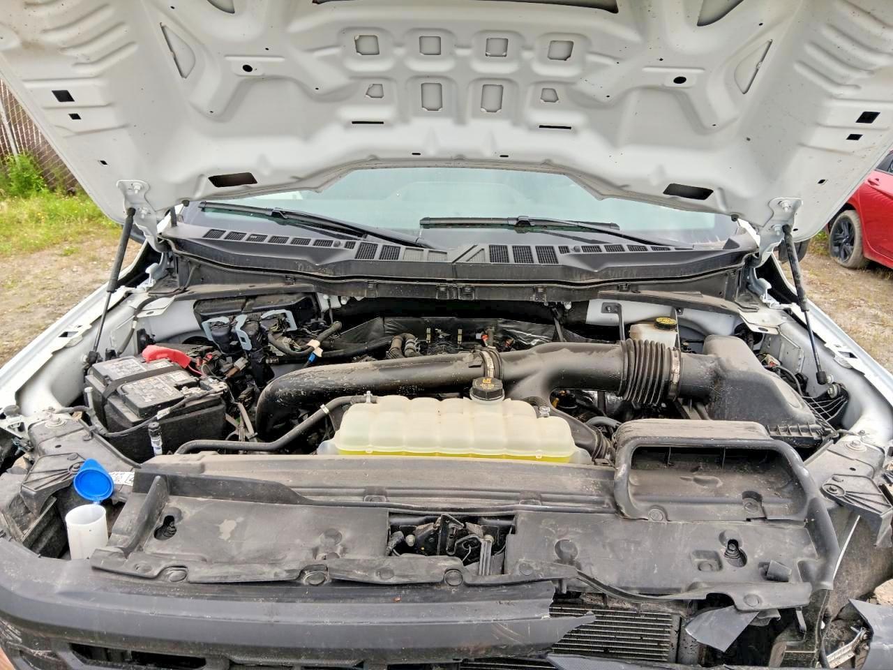 2024 Ford F150 XL