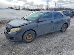 Salvage cars for sale from Copart Montreal Est, QC: 2010 Toyota Corolla Base