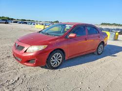 Salvage cars for sale from Copart Homestead, FL: 2010 Toyota Corolla le