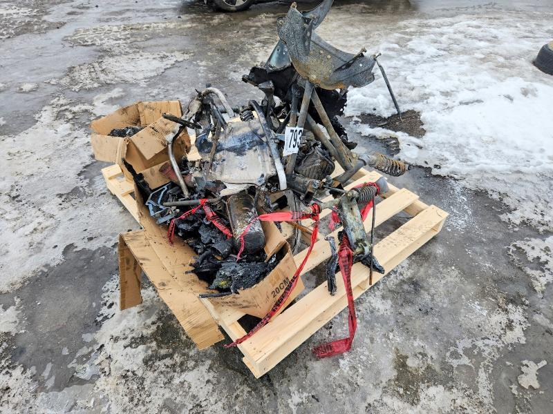 2007 Skidoo Skandic Tundra FAN 300