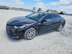 2023 Toyota Camry le en venta en Taylor, TX