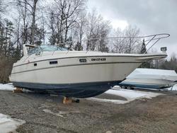 1996 Maxum Boat en venta en Cookstown, ON