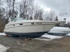 1996 Maxum Boat