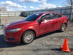 Ford Fusion salvage cars for sale: 2013 Ford Fusion se Hybrid