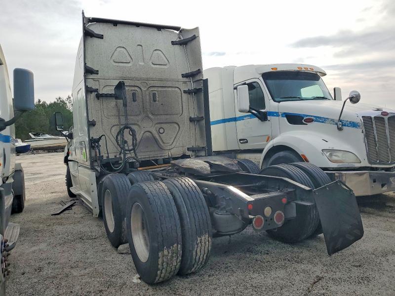 2019 Freightliner Cascadia 125 Semi Truck