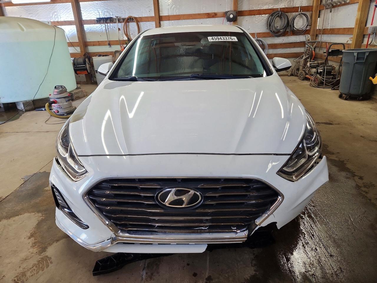 2019 Hyundai Sonata se
