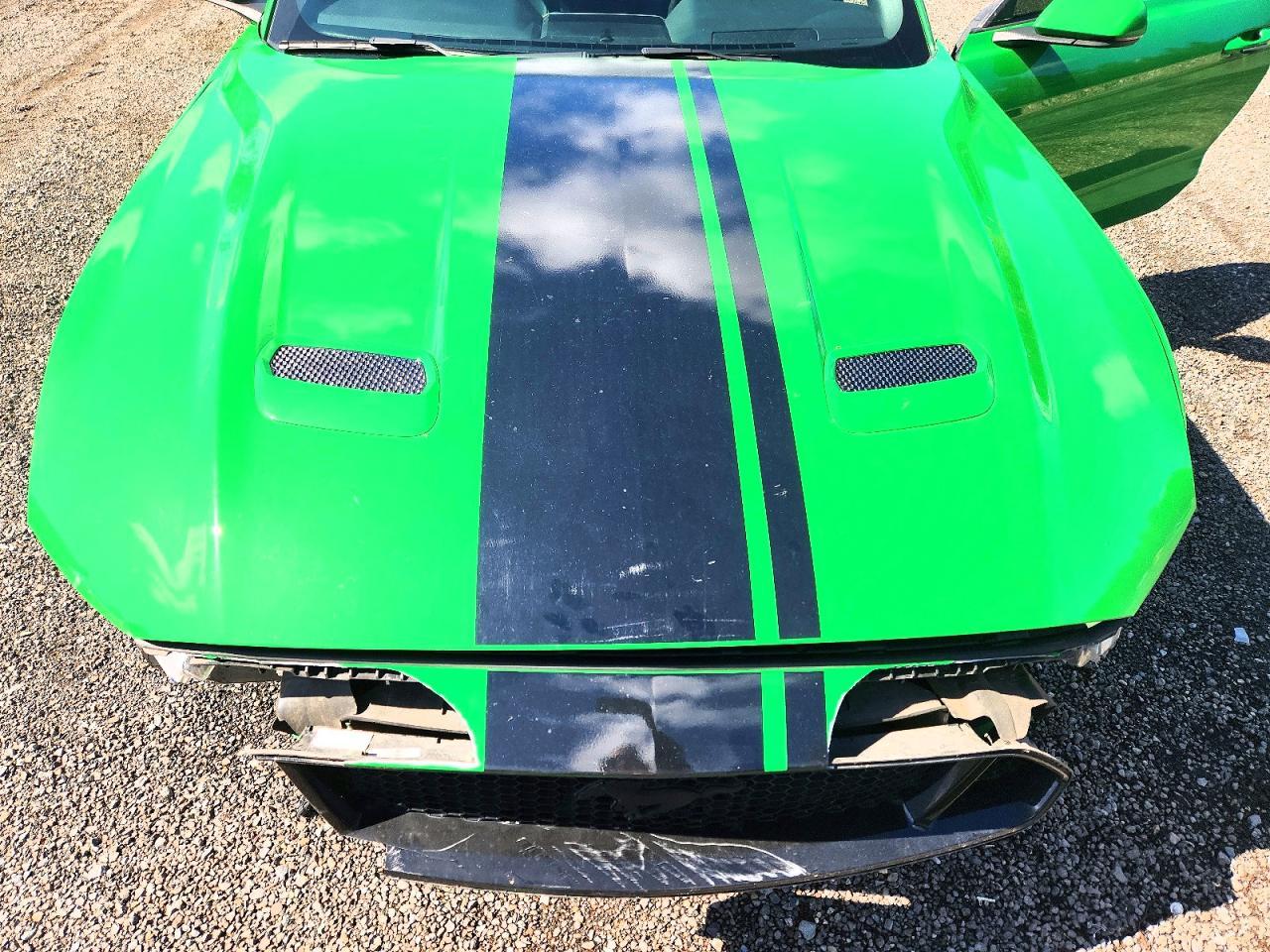 2019 Ford Mustang gt