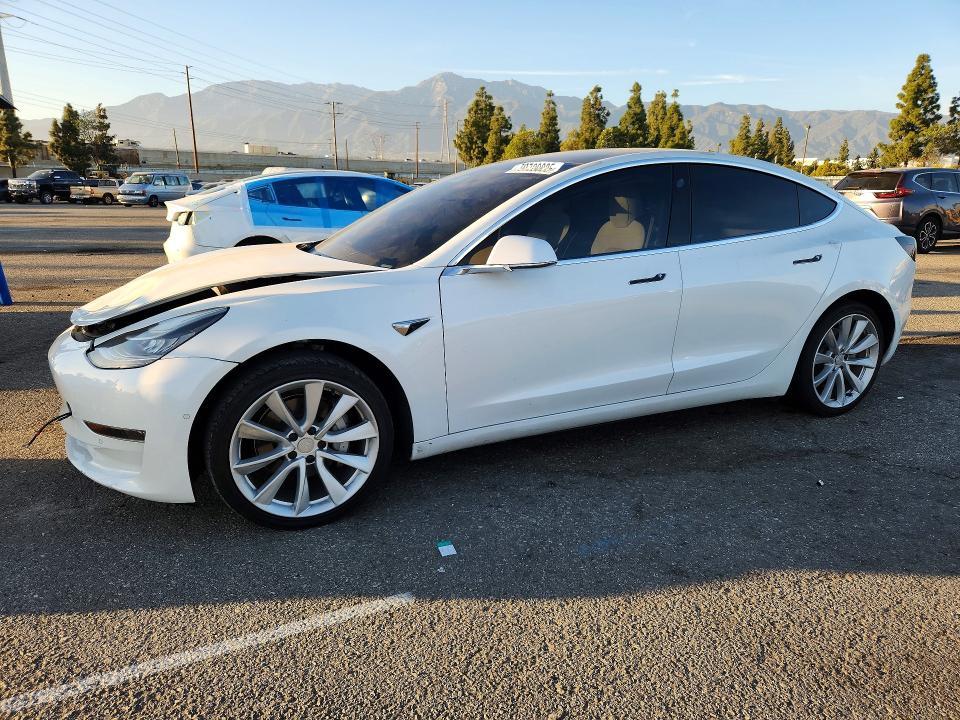 2019 Tesla 3