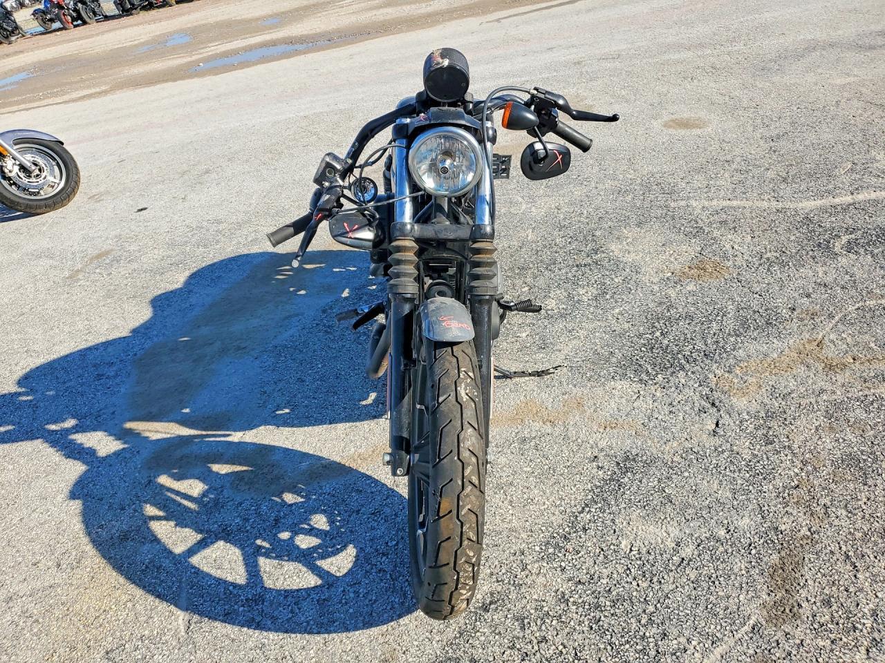 2022 Harley-Davidson XL883 N