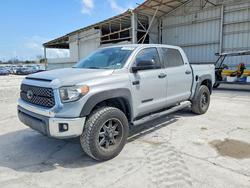 Salvage cars for sale from Copart Corpus Christi, TX: 2021 Toyota Tundra SR5