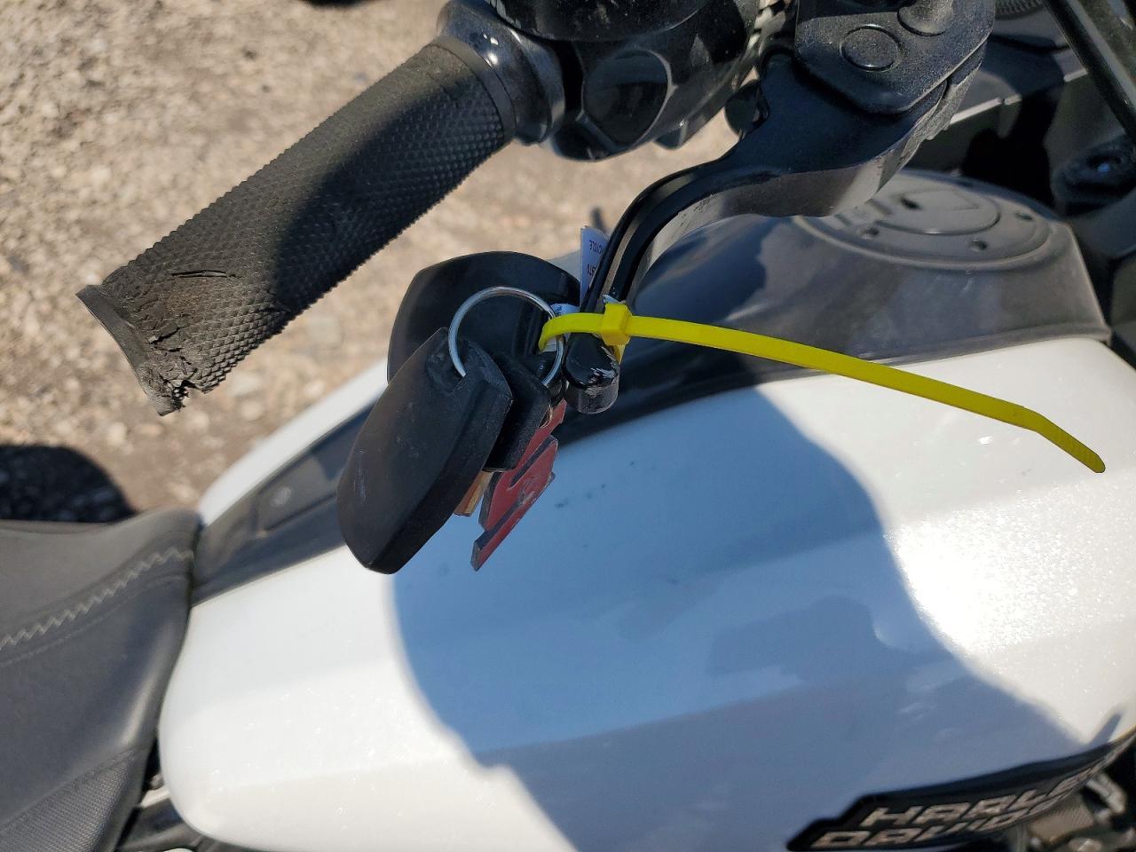 2024 Harley-Davidson Fltrx