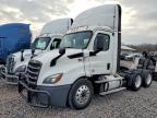 2019 Freightliner Cascadia 116 Semi Truck
