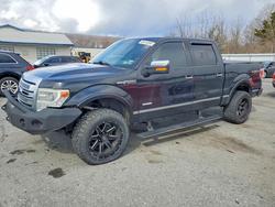 Ford salvage cars for sale: 2013 Ford F150 Supercrew