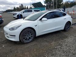2019 Tesla Model 3 en venta en Spanaway, WA
