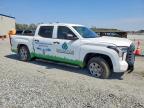 2025 Toyota Tundra SR