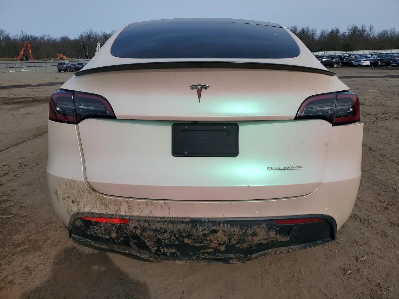 2020 Tesla Model y