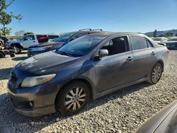 2009 Toyota Corolla s en venta en San Martin, CA