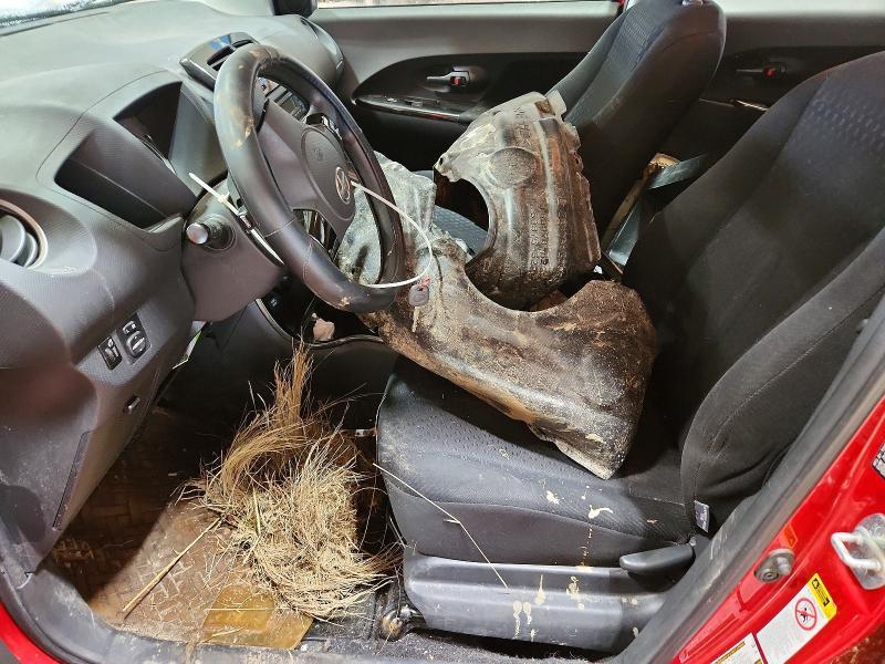2010 Scion Xd Base