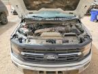 2025 Ford F150 XLT