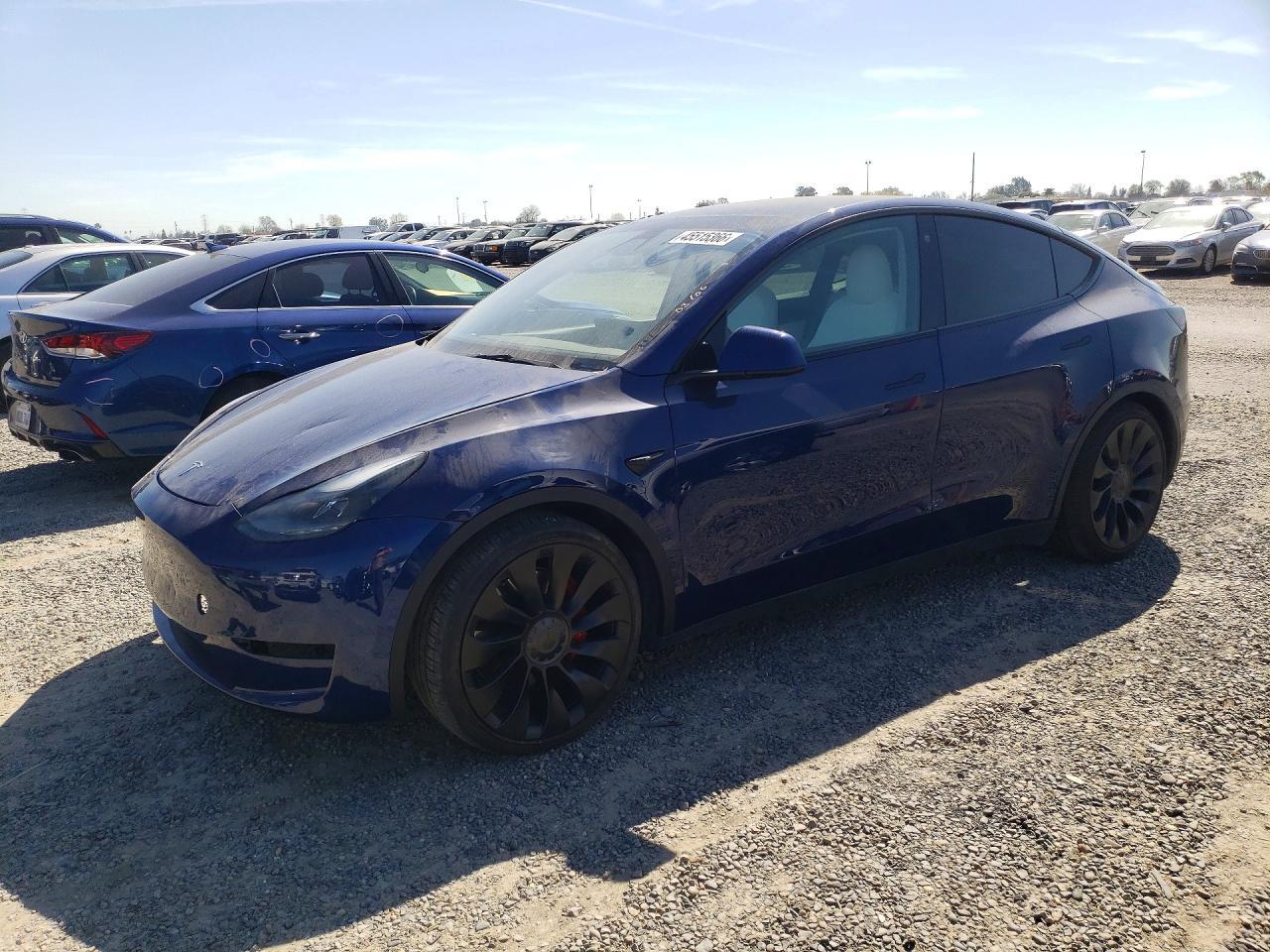 2022 Tesla Model y