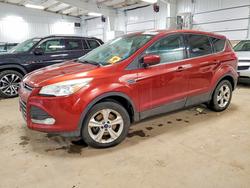 2014 Ford Escape en venta en Ham Lake, MN