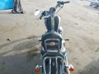 2004 Harley-Davidson XL1200 C