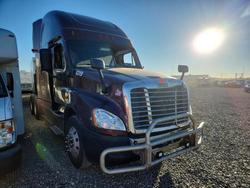Salvage trucks for sale at Brighton, CO auction: 2017 Freigliner 2017 Freightliner Cascadia 125 Semi Truck