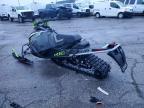 2021 Arctic Cat Cat