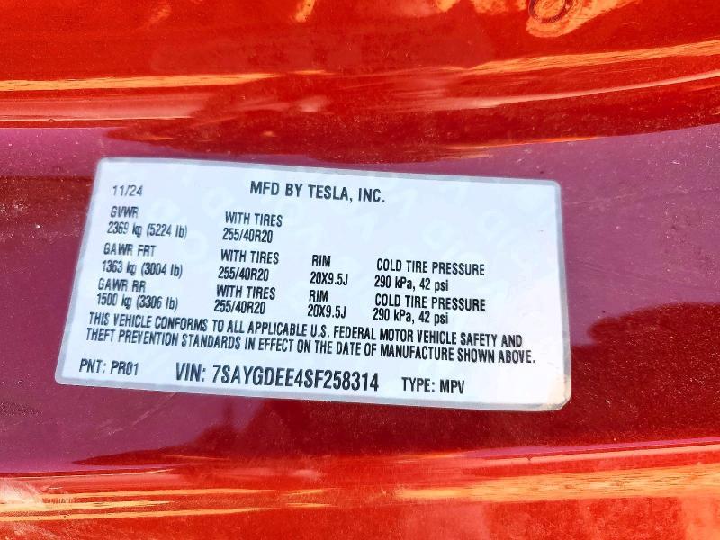 2025 Tesla Model y