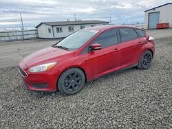 Ford salvage cars for sale: 2016 Ford Focus se