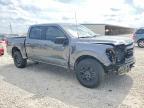 2025 Ford F150 XLT