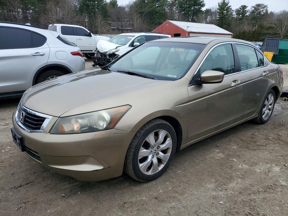 2010 Honda Accord exl