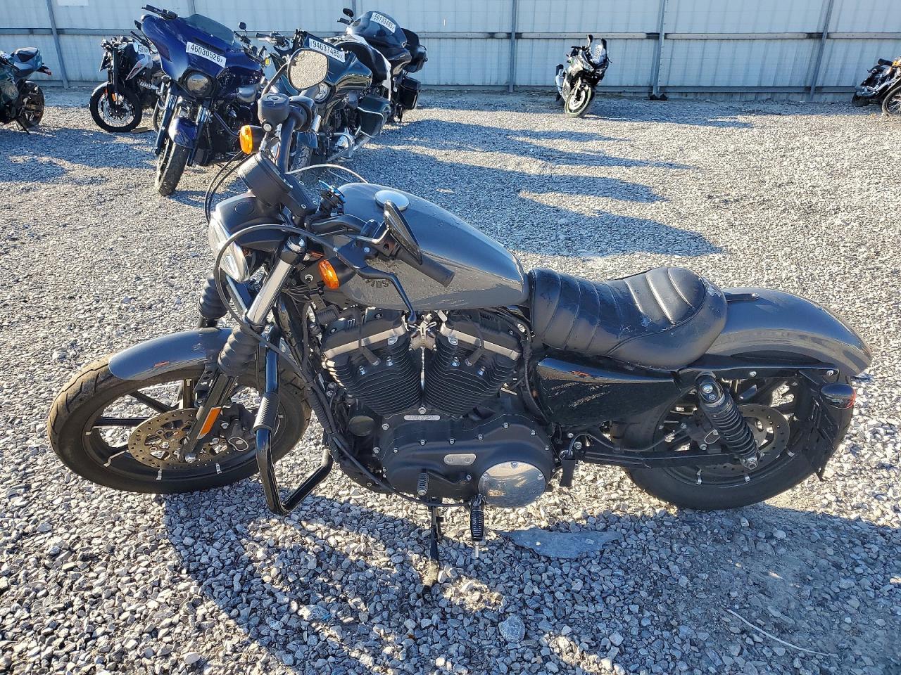 2022 Harley-Davidson XL883 N