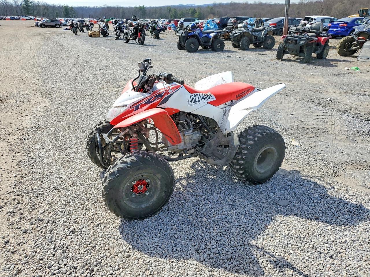 2024 Honda TRX250 X ATV