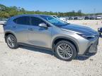2026 Lexus Nx 350h Luxury