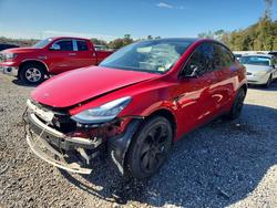 2022 Tesla Model y for sale in Thonotosassa, FL