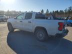 2023 Chev Colorado