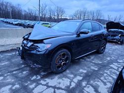 Alfa Romeo Vehiculos salvage en venta: 2025 Alfa Romeo Stelvio Base