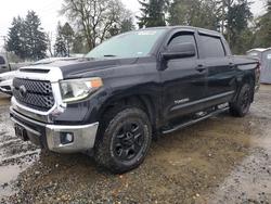 Vehiculos salvage en venta de Copart Spanaway, WA: 2019 Toyota Tundra SR5