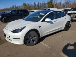2023 Tesla Model 3 for sale in Brookhaven, NY