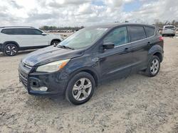 Ford salvage cars for sale: 2014 Ford Escape se