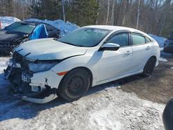 2017 Honda Civic lx en venta en Cookstown, ON