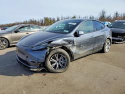 Tesla salvage cars for sale: 2023 Tesla Model y