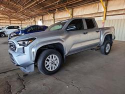 Salvage trucks for sale at Phoenix, AZ auction: 2024 Toyota Tacoma SR