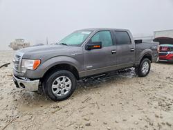 Salvage trucks for sale at Wayland, MI auction: 2014 Ford F150 Supercrew