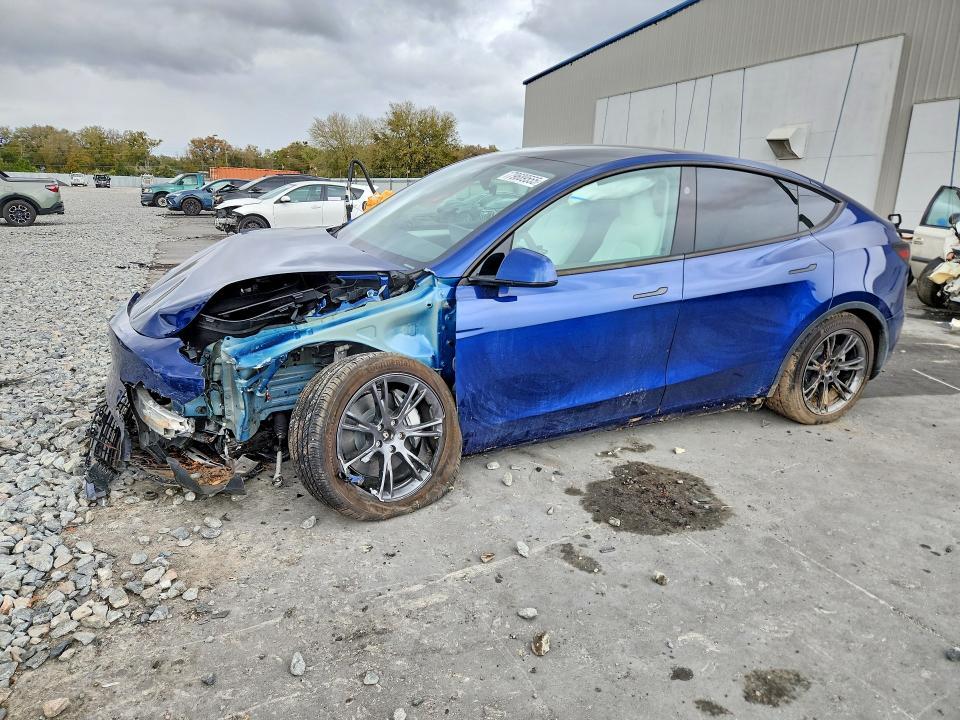 2025 Tesla Model y