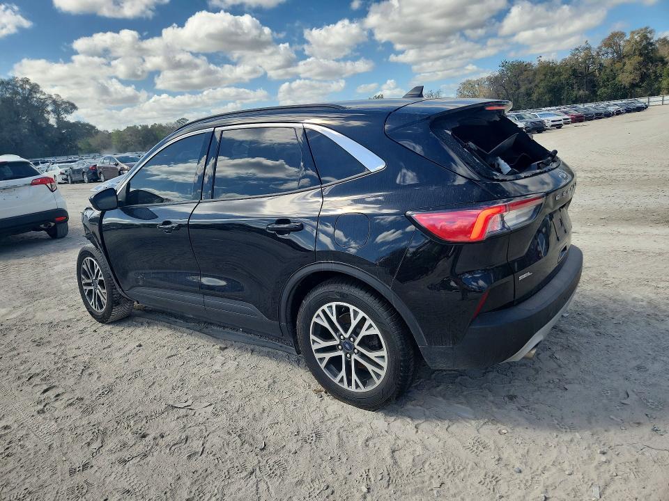 2020 Ford Escape sel