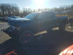 Salvage cars for sale from Copart Baltimore, MD: 2023 Toyota Tacoma TRD OFF-Road